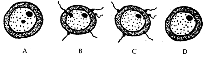 ICSE Biology Question Paper 2018 Solved for Class 10 - 6