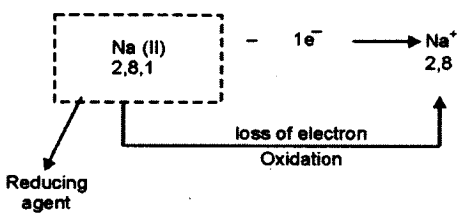 ICSE Chemistry Question Paper 2018 Solved for Class 10 - 8