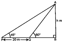 ICSE Maths Question Paper 2019 Solved for Class 10 45