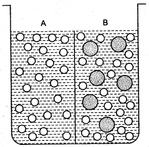 ICSE Solutions for Class 10 Biology - Absorption by Roots 18