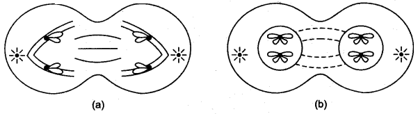 ICSE Solutions for Class 10 Biology - Cell Division 5