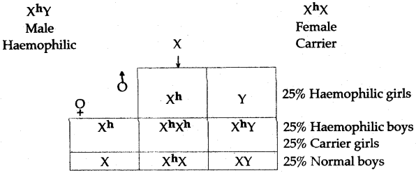 ICSE Solutions for Class 10 Biology - Fundamentals of Genetics 10