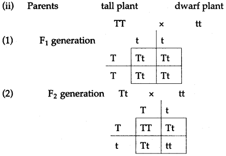 ICSE Solutions for Class 10 Biology - Fundamentals of Genetics 2