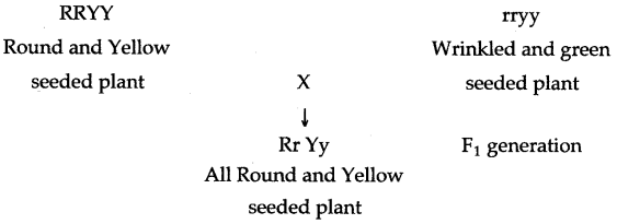 ICSE Solutions for Class 10 Biology - Fundamentals of Genetics 7