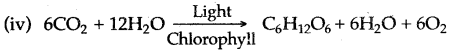 ICSE Solutions for Class 10 Biology - Photosynthesis 13