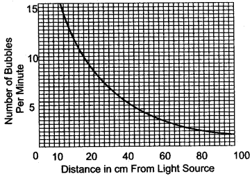 ICSE Solutions for Class 10 Biology - Photosynthesis 16