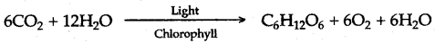 ICSE Solutions for Class 10 Biology - Photosynthesis 5