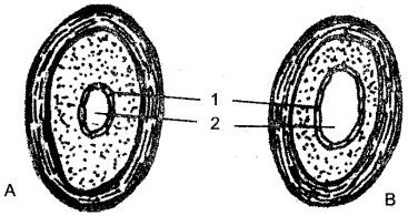 ICSE Solutions for Class 10 Biology - The Circulatory System 14