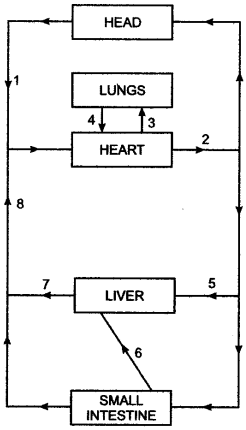 ICSE Solutions for Class 10 Biology - The Circulatory System 8