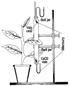 ICSE Solutions for Class 10 Biology - Transpiration 11