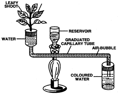 ICSE Solutions for Class 10 Biology - Transpiration 13