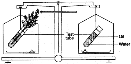 ICSE Solutions for Class 10 Biology - Transpiration 8