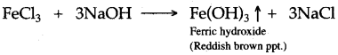 ICSE Solutions for Class 10 Chemistry - Analytical Chemistry 1