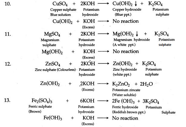 ICSE Solutions for Class 10 Chemistry - Analytical Chemistry 10