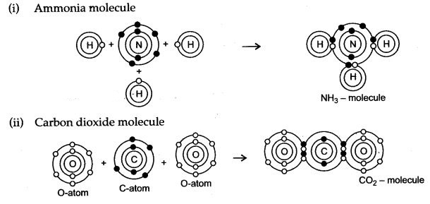 ICSE Solutions for Class 10 Chemistry - Chemical Bonding 11