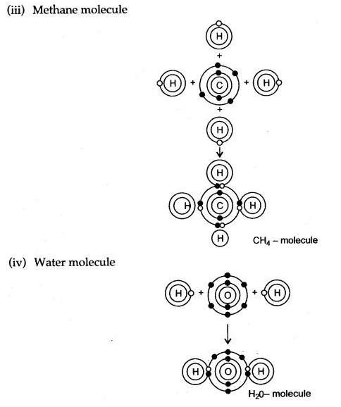 ICSE Solutions for Class 10 Chemistry - Chemical Bonding 12