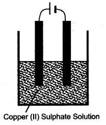 ICSE Solutions for Class 10 Chemistry - Electrolysis 6