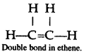 ICSE Solutions for Class 10 Chemistry - Organic Chemistry 2