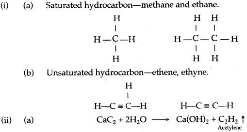 ICSE Solutions for Class 10 Chemistry - Organic Chemistry 23