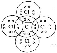 ICSE Solutions for Class 10 Chemistry - Organic Chemistry 27