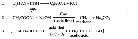 ICSE Solutions for Class 10 Chemistry - Organic Chemistry 35