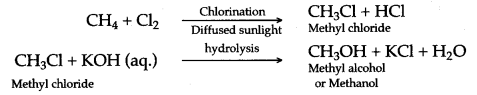 ICSE Solutions for Class 10 Chemistry - Organic Chemistry 38