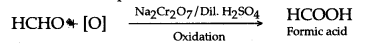 ICSE Solutions for Class 10 Chemistry - Organic Chemistry 40