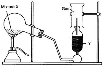 ICSE Solutions for Class 10 Chemistry - Study of Compounds Ammonia and Nitric Acid 13