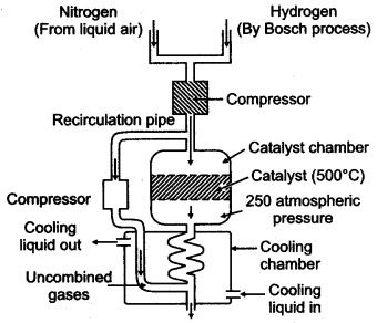 ICSE Solutions for Class 10 Chemistry - Study of Compounds Ammonia and Nitric Acid 19