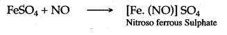 ICSE Solutions for Class 10 Chemistry - Study of Compounds Ammonia and Nitric Acid 29