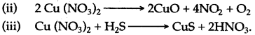 ICSE Solutions for Class 10 Chemistry - Study of Compounds Ammonia and Nitric Acid 9