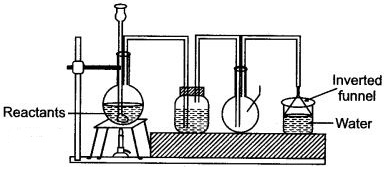 ICSE Solutions for Class 10 Chemistry - Study of Compounds Hydrogen Chloride 13