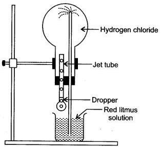 ICSE Solutions for Class 10 Chemistry - Study of Compounds Hydrogen Chloride 14