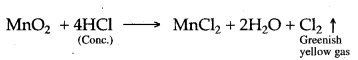 ICSE Solutions for Class 10 Chemistry - Study of Compounds Hydrogen Chloride 15