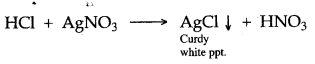 ICSE Solutions for Class 10 Chemistry - Study of Compounds Hydrogen Chloride 17