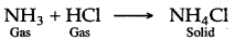 ICSE Solutions for Class 10 Chemistry - Study of Compounds Hydrogen Chloride 2