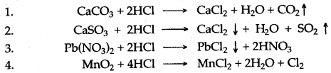 ICSE Solutions for Class 10 Chemistry - Study of Compounds Hydrogen Chloride 20