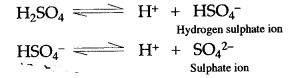 ICSE Solutions for Class 10 Chemistry - Sulphuric Acid 21