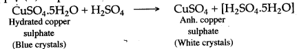 ICSE Solutions for Class 10 Chemistry - Sulphuric Acid 23a