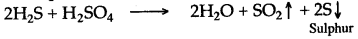 ICSE Solutions for Class 10 Chemistry - Sulphuric Acid 8