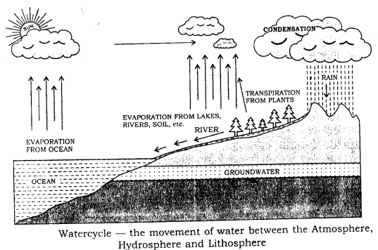 ICSE Solutions for Class 9 Geography Chapter 1 Earth As a Planet 3