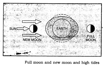 ICSE Solutions for Class 9 Geography Chapter 11 Hydrosphere 1