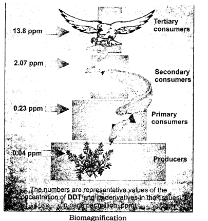 ICSE Solutions for Class 9 Geography Chapter 18 Effects of Pollution 1