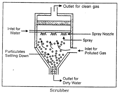 ICSE Solutions for Class 9 Geography Chapter 19 Preventive Measures 1