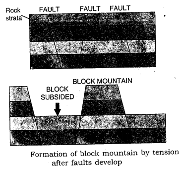 ICSE Solutions for Class 9 Geography Chapter 5 Landforms of the Earth 4