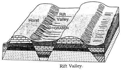 ICSE Solutions for Class 9 Geography Chapter 5 Landforms of the Earth 5