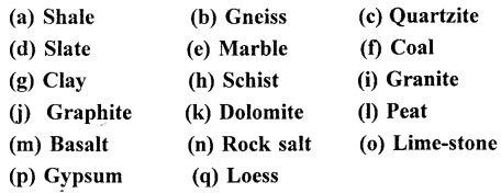 ICSE Solutions for Class 9 Geography Chapter 6 Rocks 3