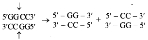 ISC Biotechnology Question Paper 2011 Solved for Class 12 1