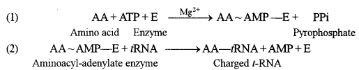 ISC Biotechnology Question Paper 2011 Solved for Class 12 3