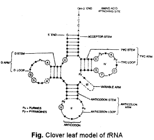 ISC Biotechnology Question Paper 2012 Solved for Class 12 2ISC Biotechnology Question Paper 2012 Solved for Class 12 2